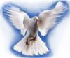 Голубь - символ Святого Духа